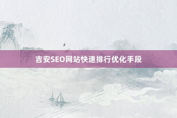 吉安SEO网站快速排行优化手段