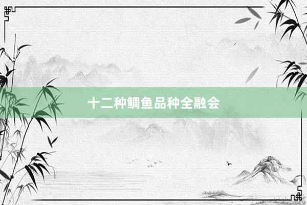十二种鲷鱼品种全融会